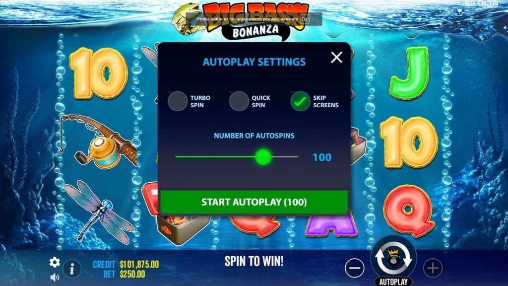 Les principaux types de bonus dans Big Bass Bonanza