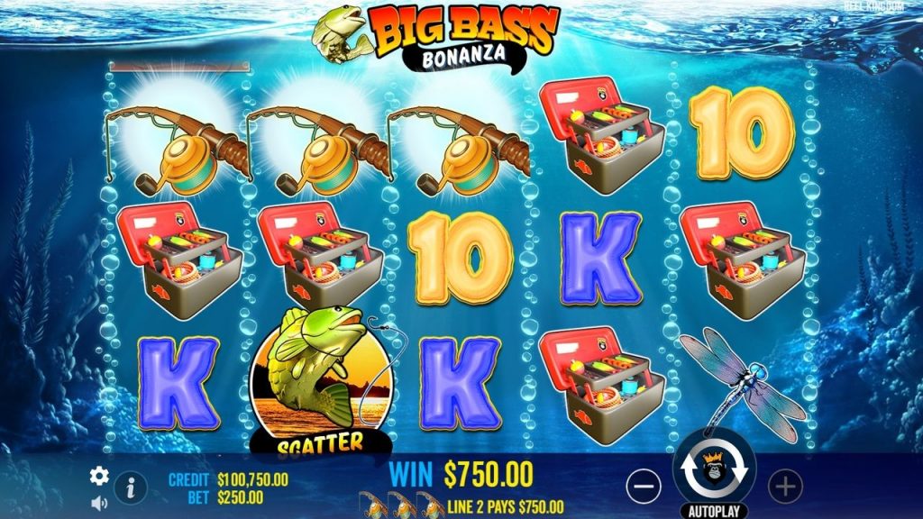 Conseils de pêche pour attraper le plus gros bar